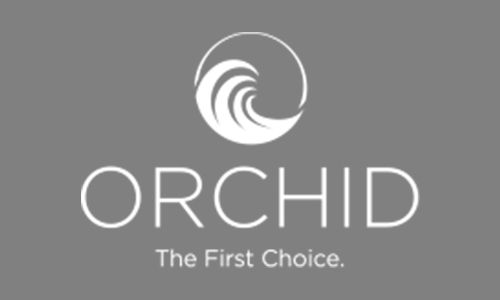 Orchid