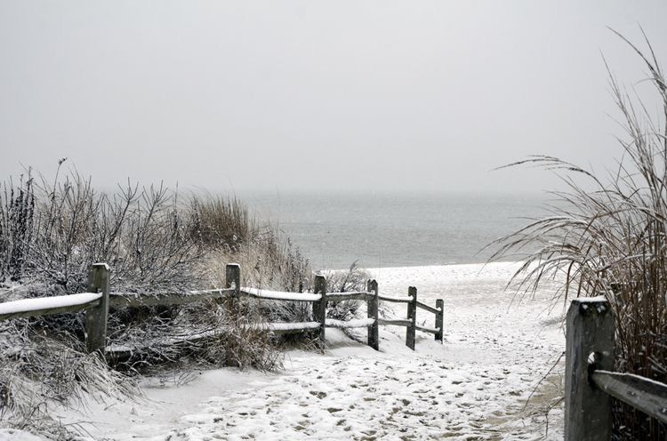 A snowy pathway leading to the beach in Cape Cod during a winter blizzard.