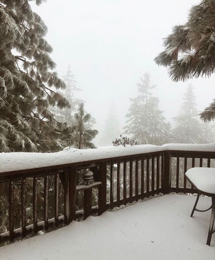 Snow-covered deck overlooking a foggy forest. Trees, railing, and a table are dusted with snow.