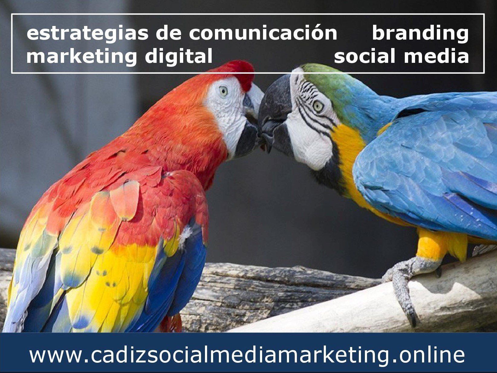 Marketing Digital Social Media Engagement Neuromarketing