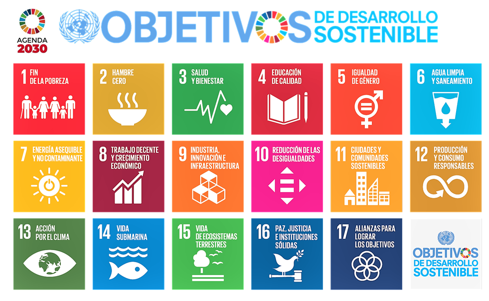 Visitar la web oficial de los ODS de la Agenda 2030 de la ONU Objetivos de Desarrollo Sostenible de la Agenda 2020