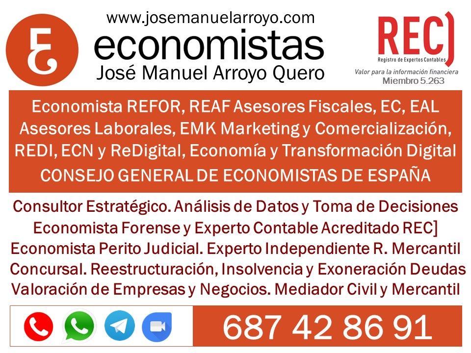Servicios prestados como Economista por José Manuel Arroyo Quero