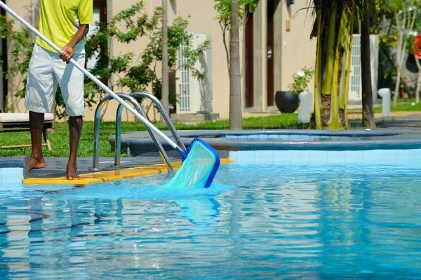 Man skimming leaves from swimming pool water.