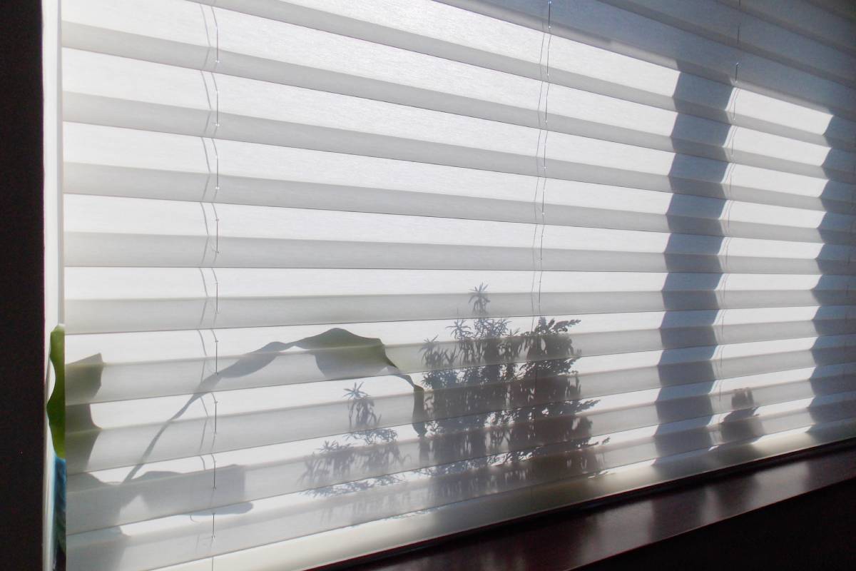 Adding Custom Decor at Awnings, Blinds, & Shutters by Albert's South