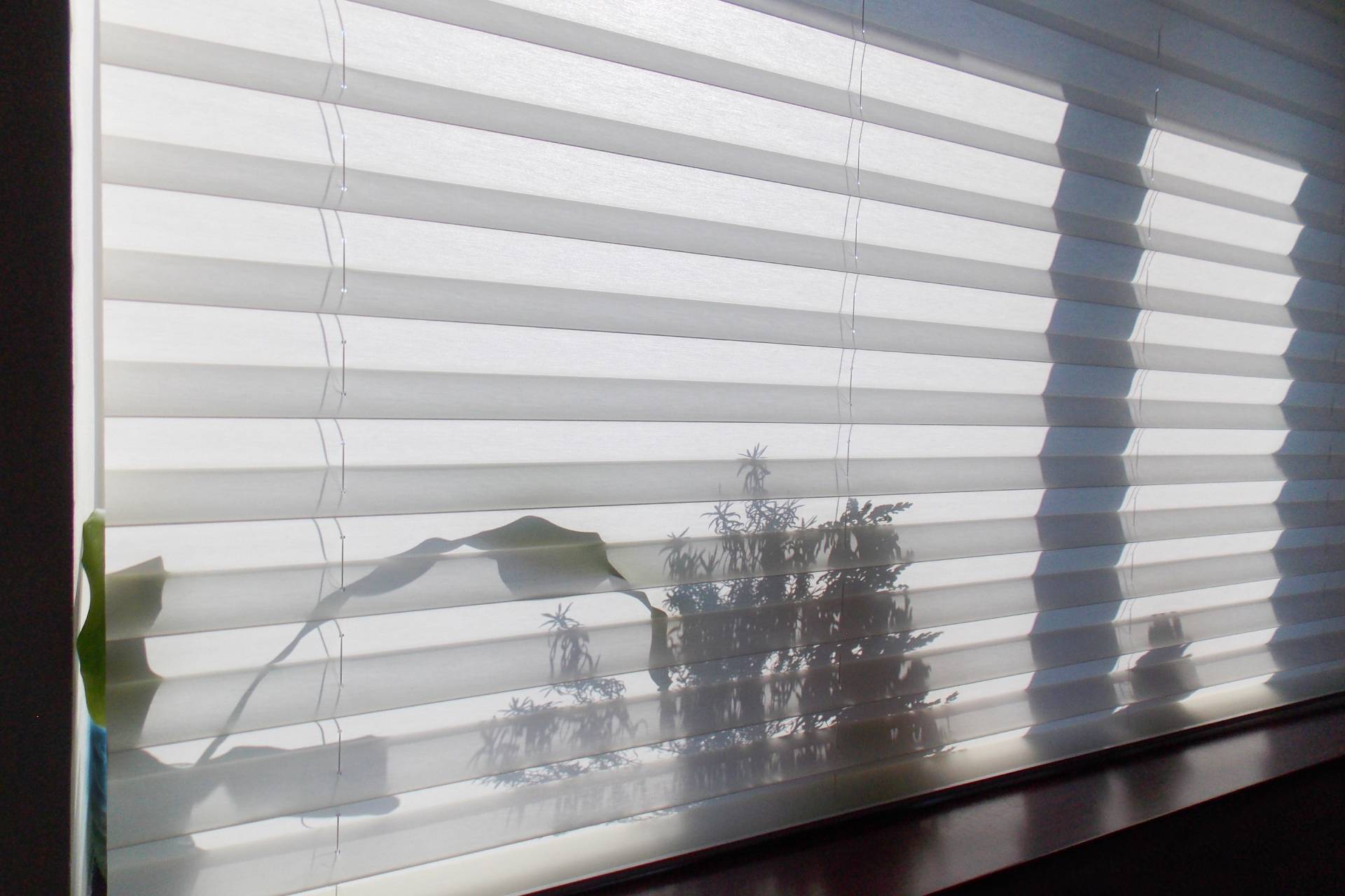 Window Awnings, Blinds, Shutters & Shades Near Haddon Heights, NJ