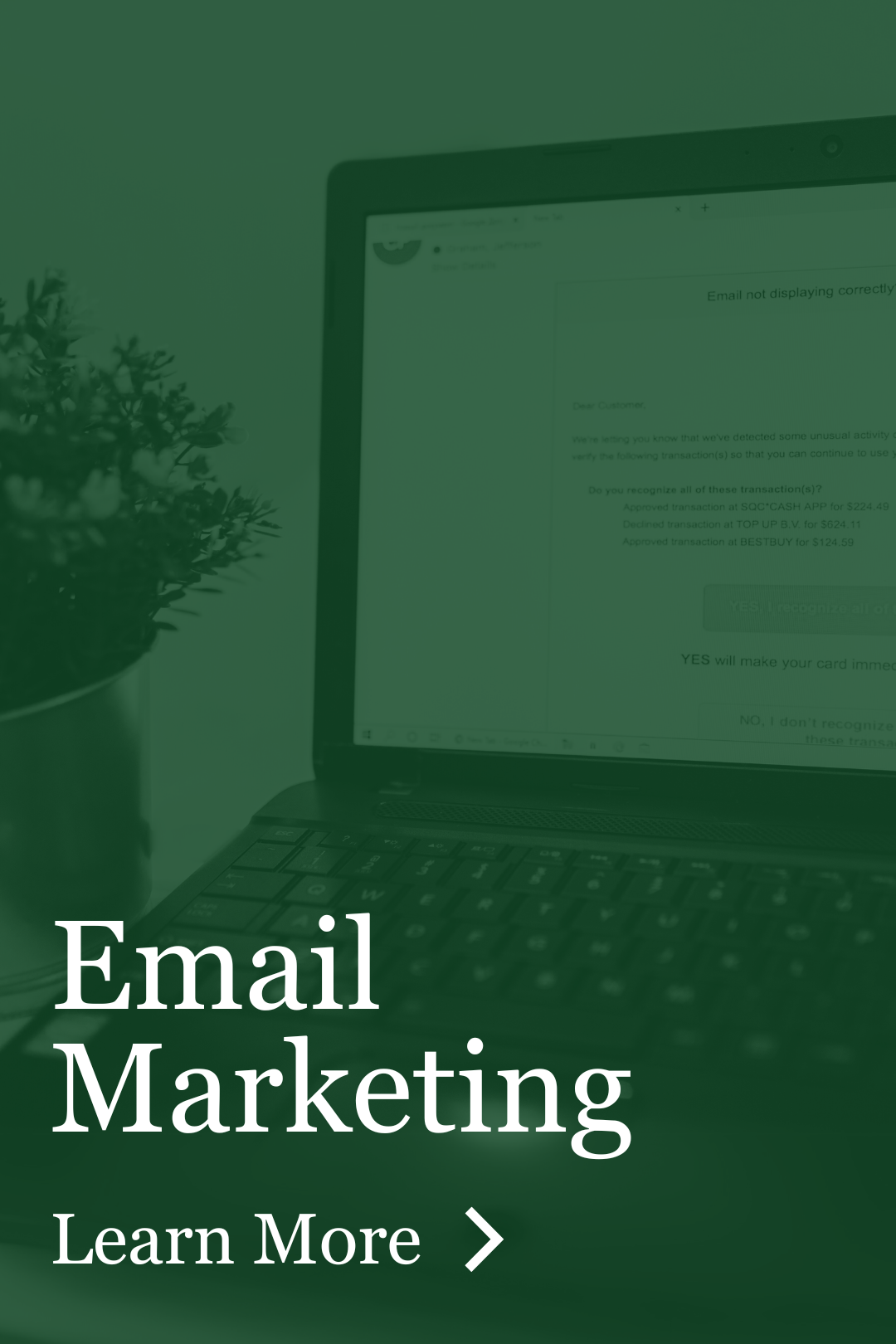 A green background with a laptop and the words email marketing learn more