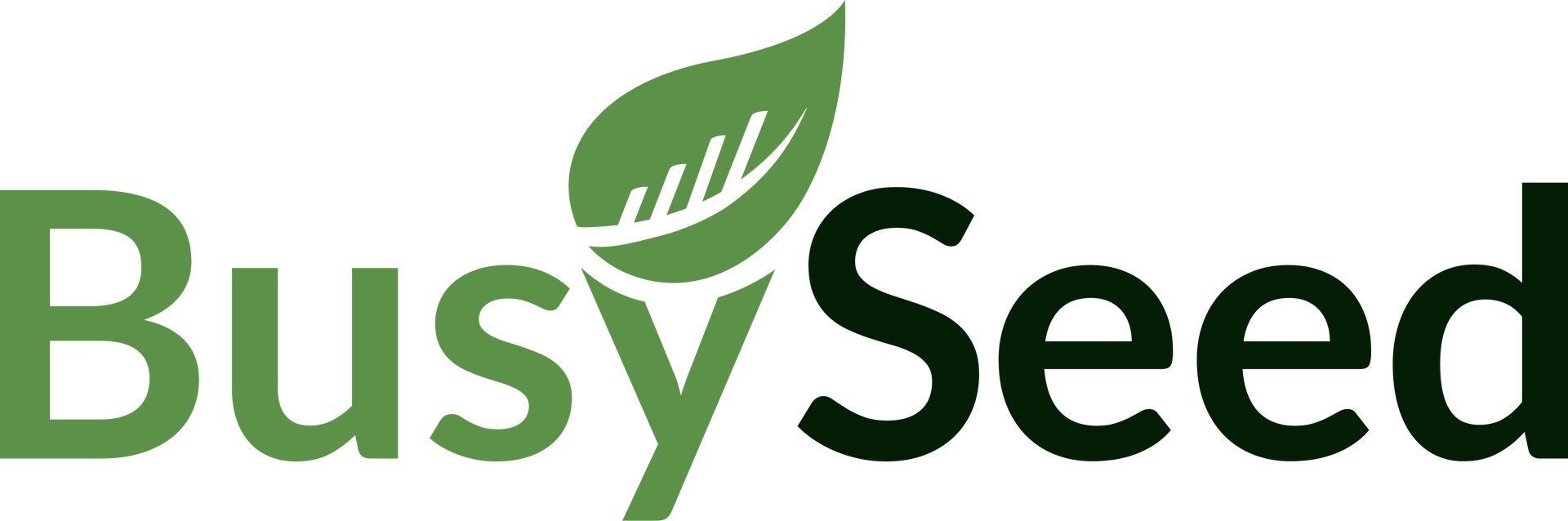 A logo for busy seed with a green leaf on a white background.