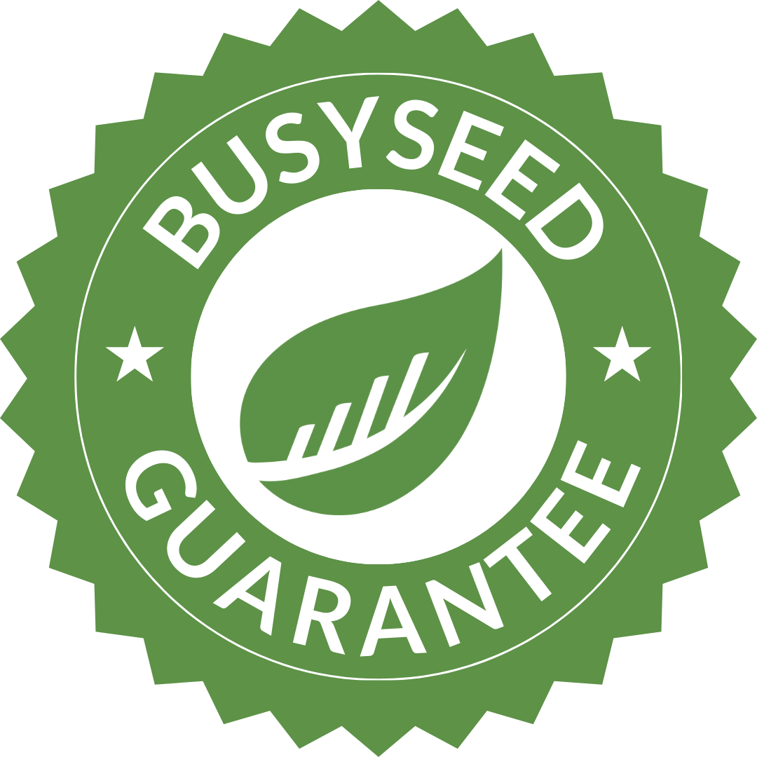 A green busy seed guarantee seal with a leaf in the center.