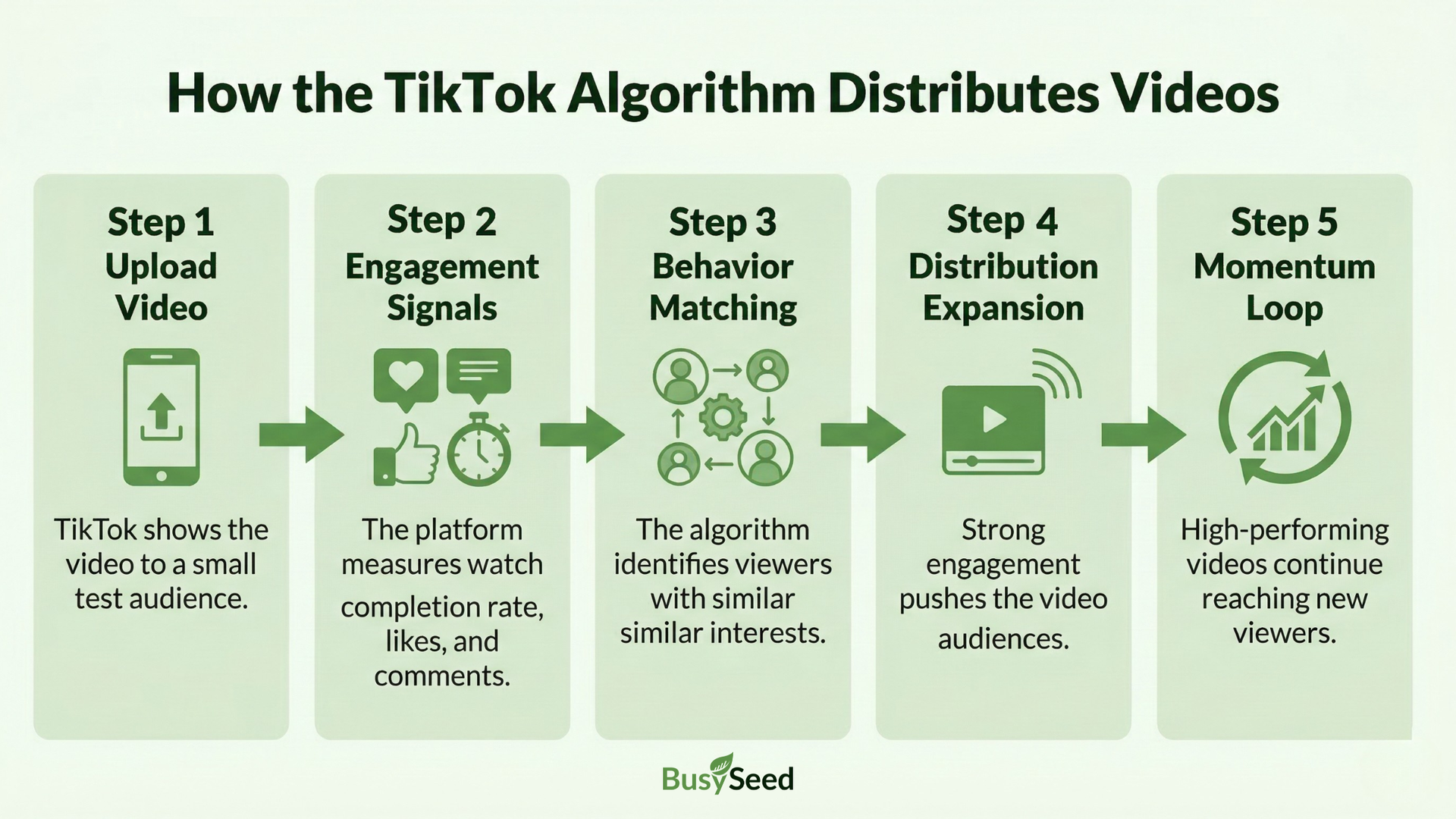 Infographic illustrating the 5-step TikTok algorithm video distribution process from upload to momentum loop.