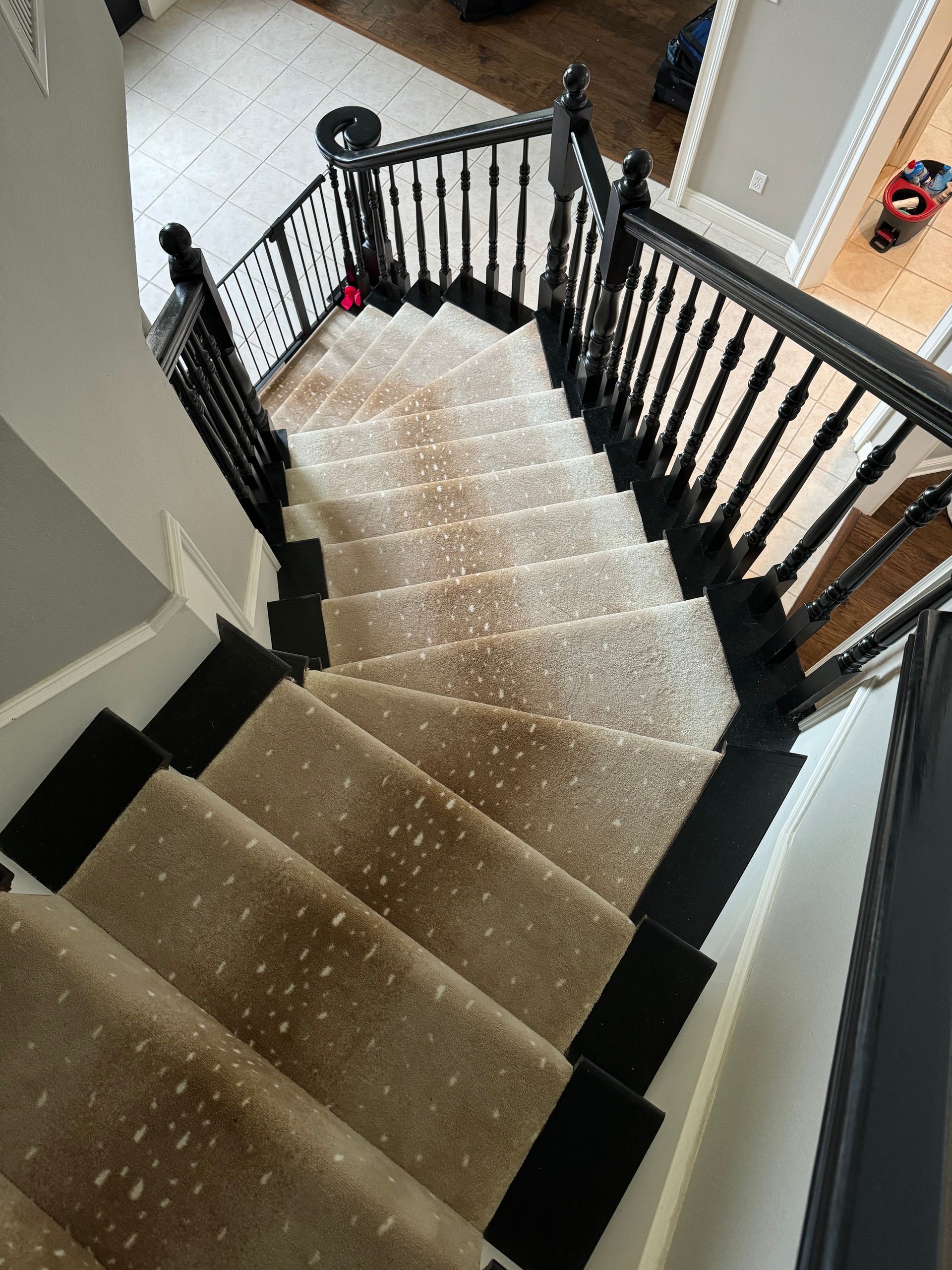A staircase with a carpeted staircase and a black railing.
