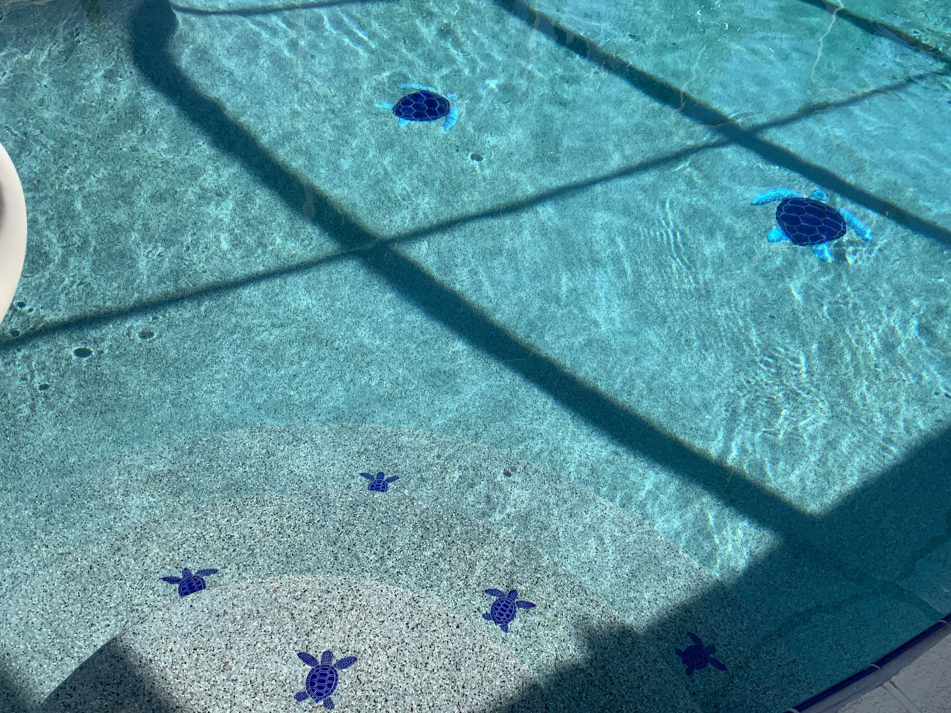 Pool with turquoise water, featuring several blue turtle mosaics on the floor. Shadow of a dark railing is cast across the water.
