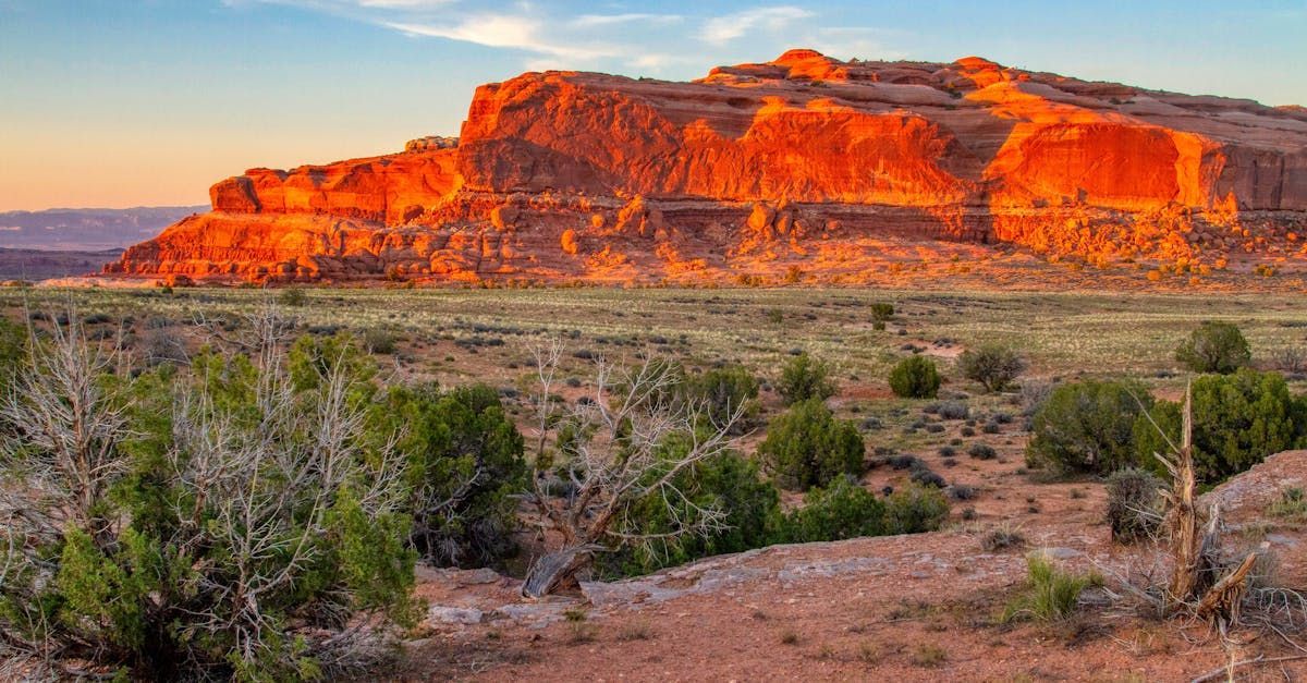 A desert landscape with a mountain in the background.