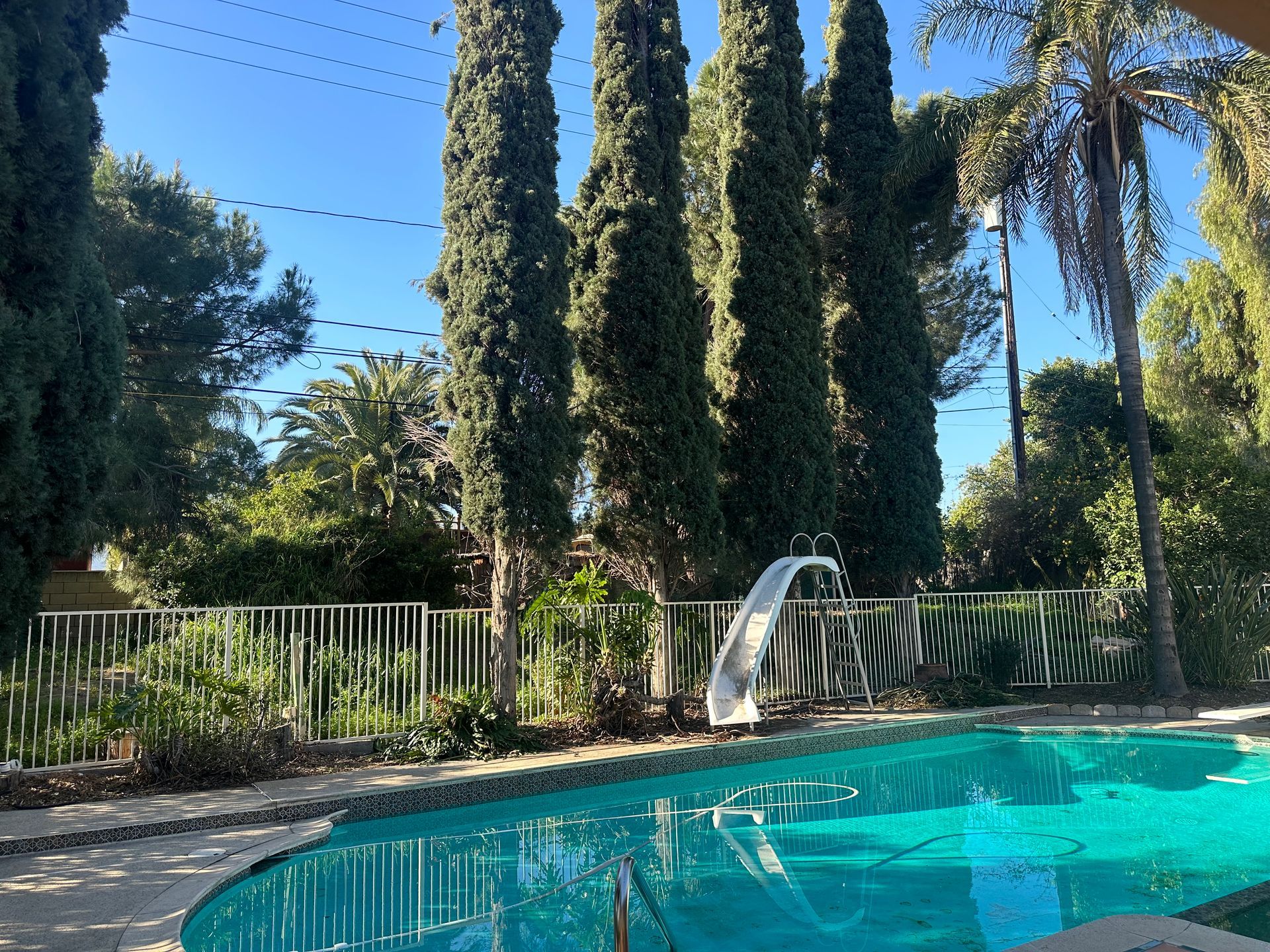 Swimming pool with water slide, tall trees, white fence, and blue sky.