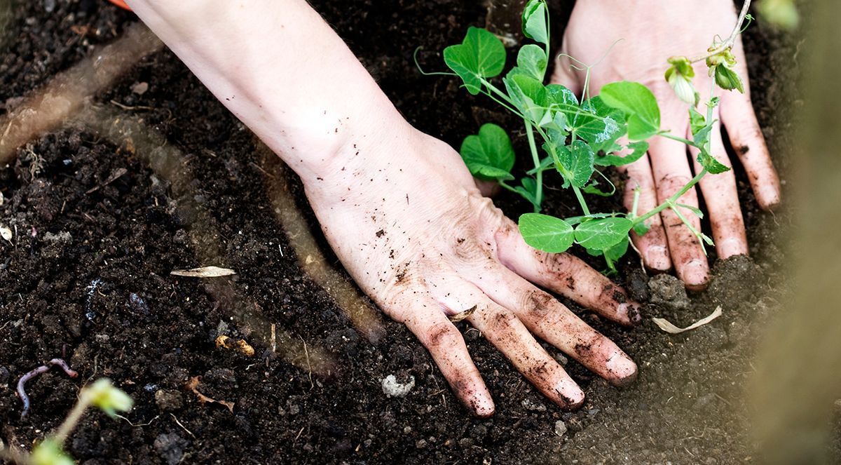 Five reasons why you should compost