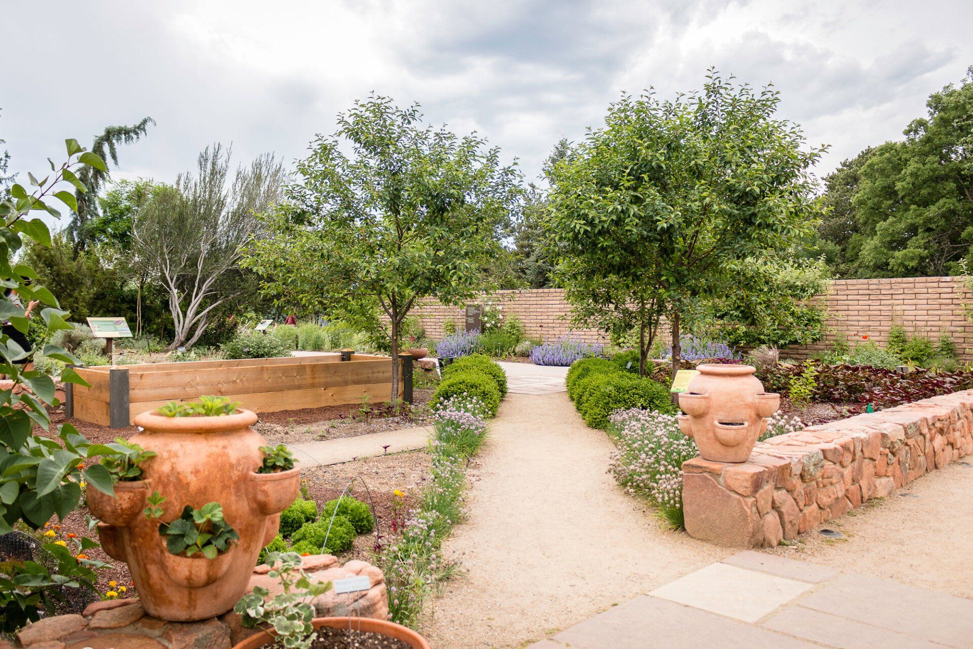 Photo of a community garden