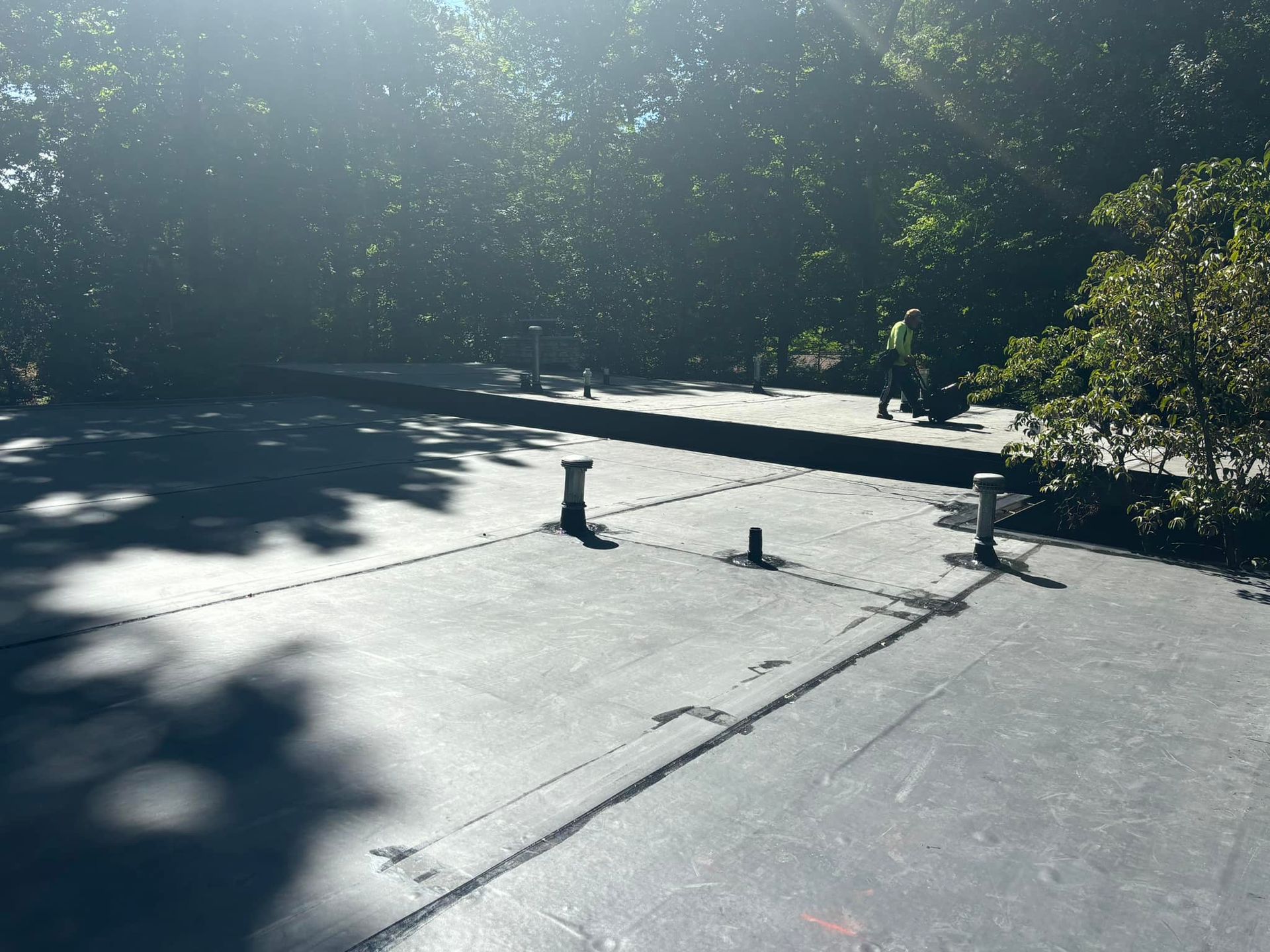 The sun is shining through the trees on the roof