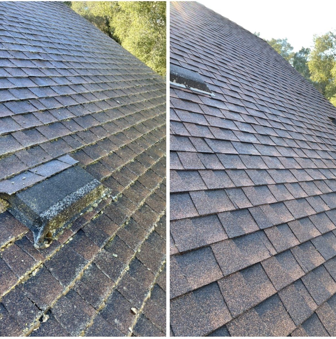 A before and after picture of a roof with moss on it.