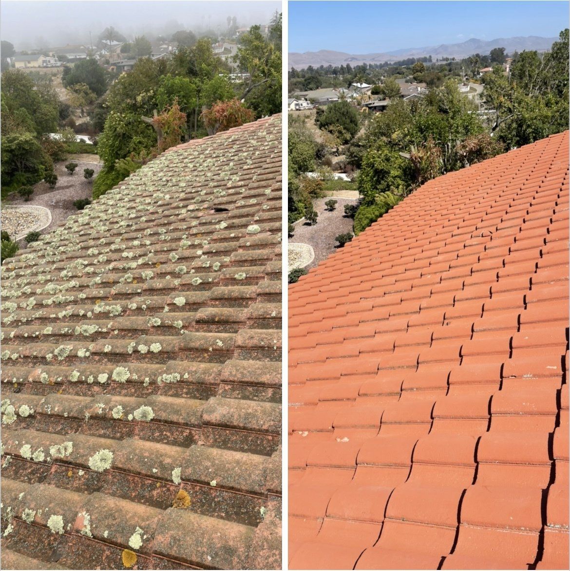 A before and after picture of a roof with moss on it.