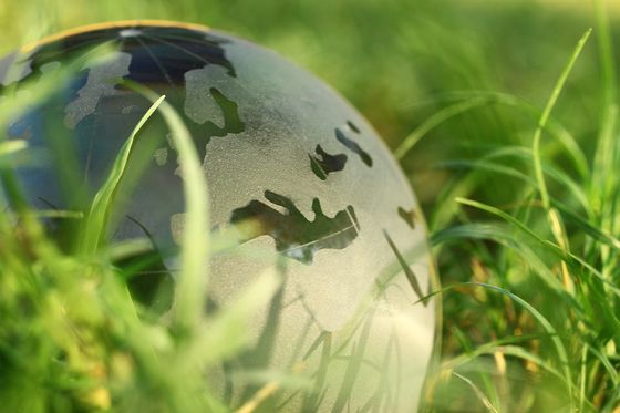 Un globo di vetro è appoggiato sull'erba.