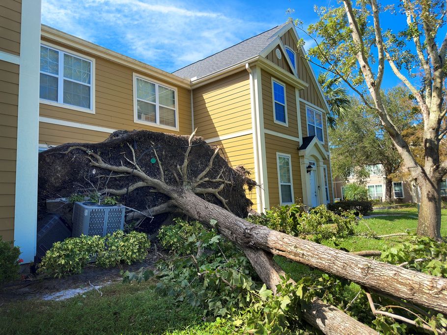 A tree is fallen in front of a house.