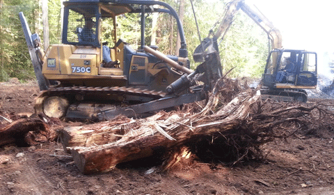 Bulldozer in Backyard — Olympia, WA — Baublits Land Clearing & Construction DBA BLC Construction