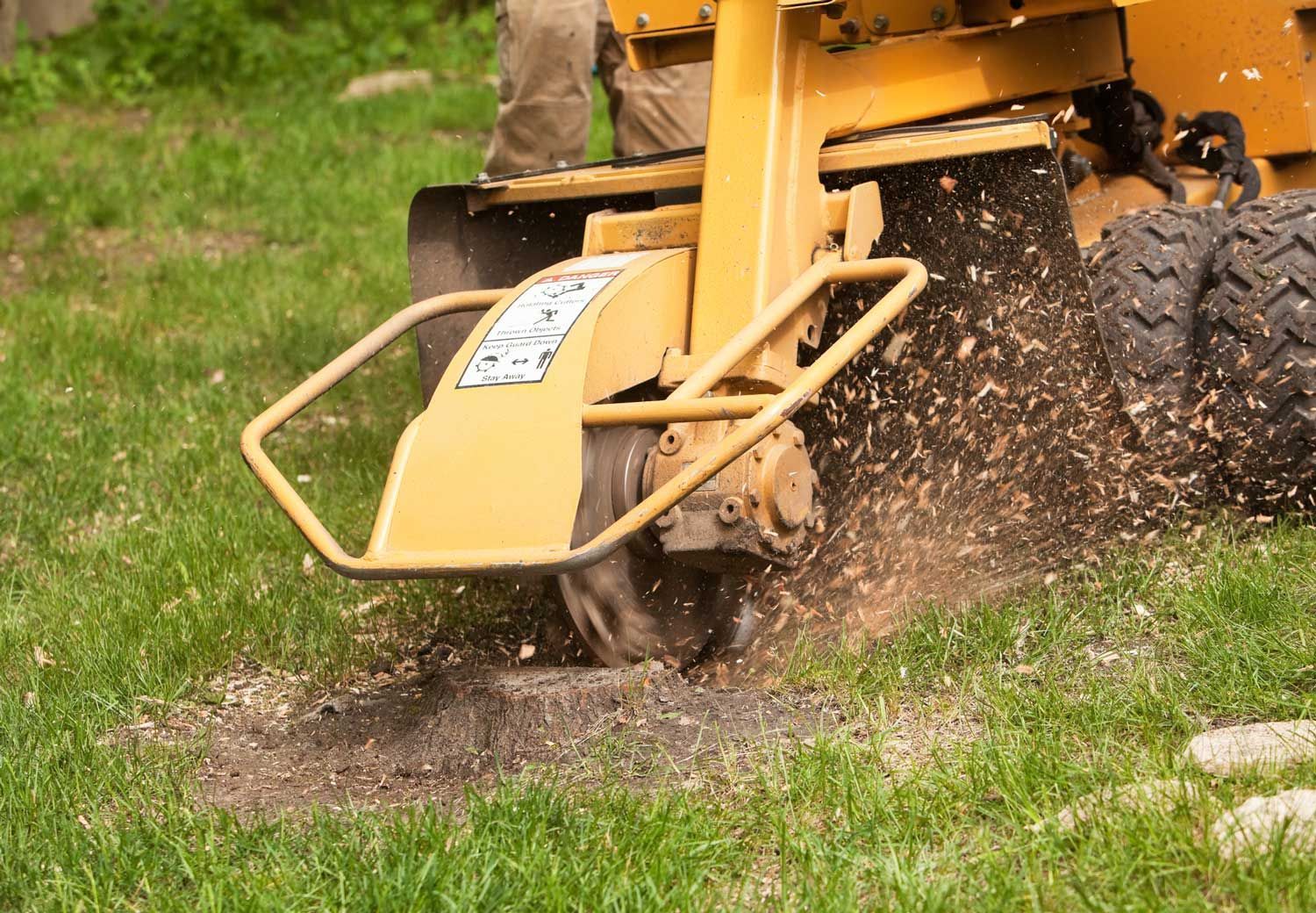 A person is using a stump grinder to remove a tree stump.