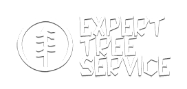 Expert Tree Service