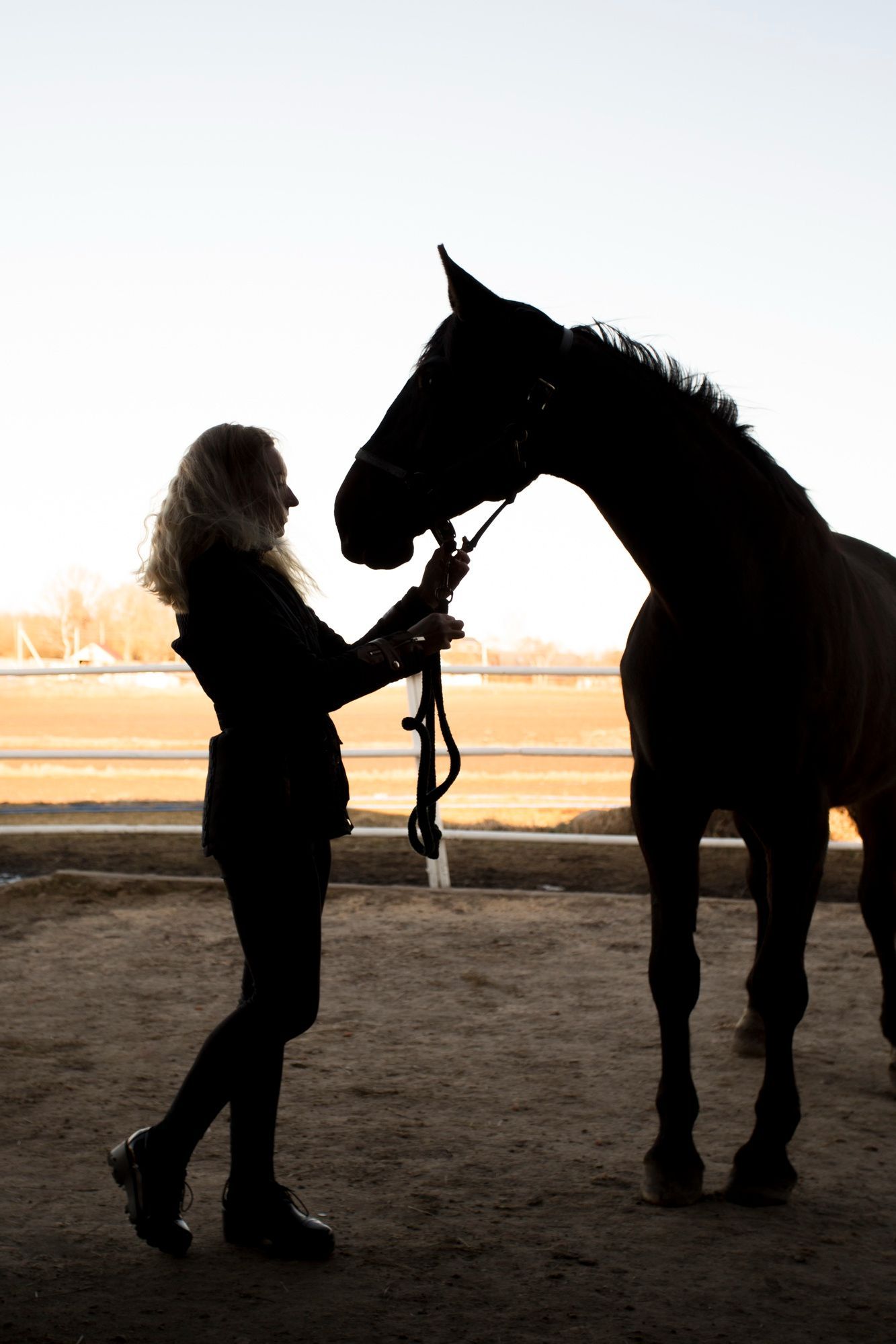 Silueta de una persona con cabello rizado sosteniendo las riendas de un caballo en un potrero de arena.