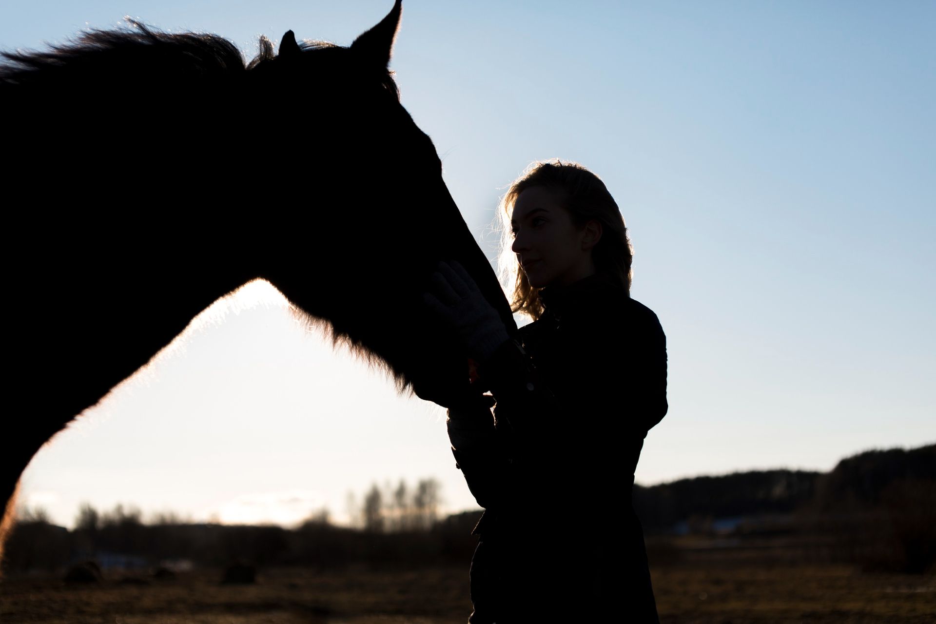 Silueta de una persona con un caballo, con el sol poniéndose al fondo.
