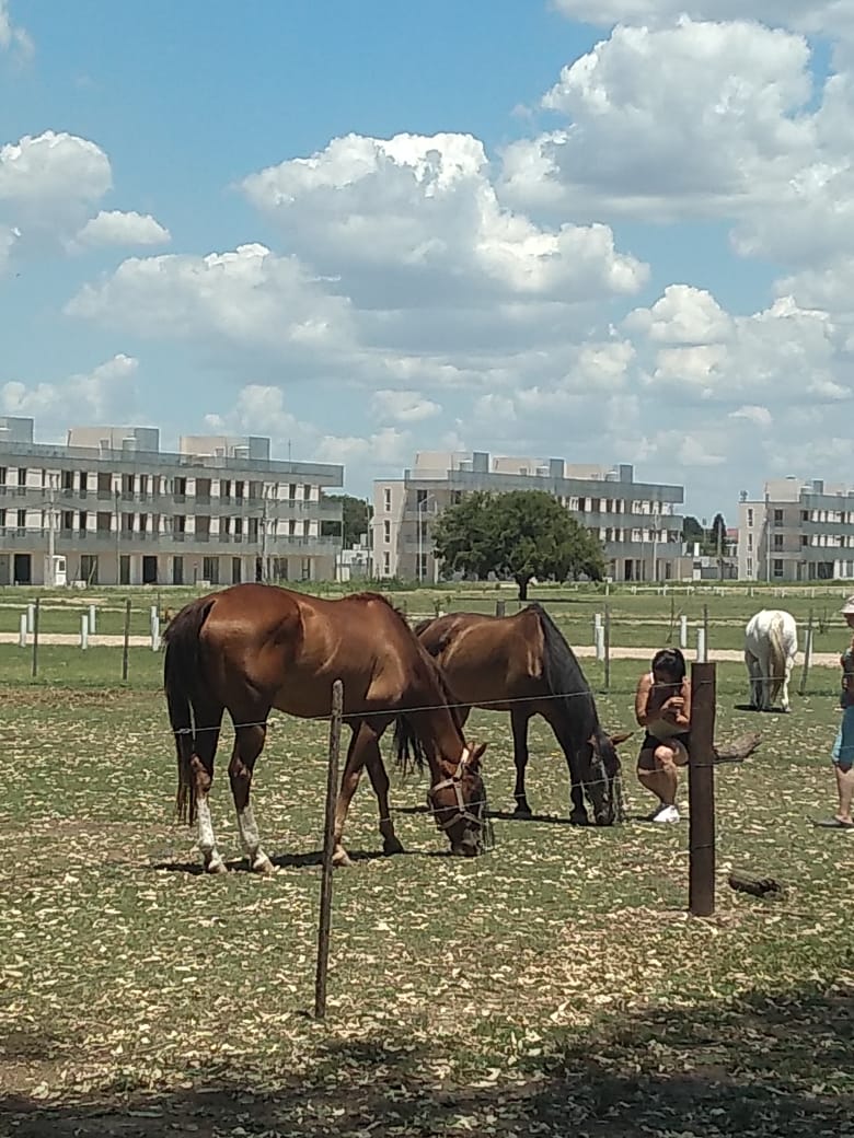 ABRIENDO CAMINOS EN EL ALMA