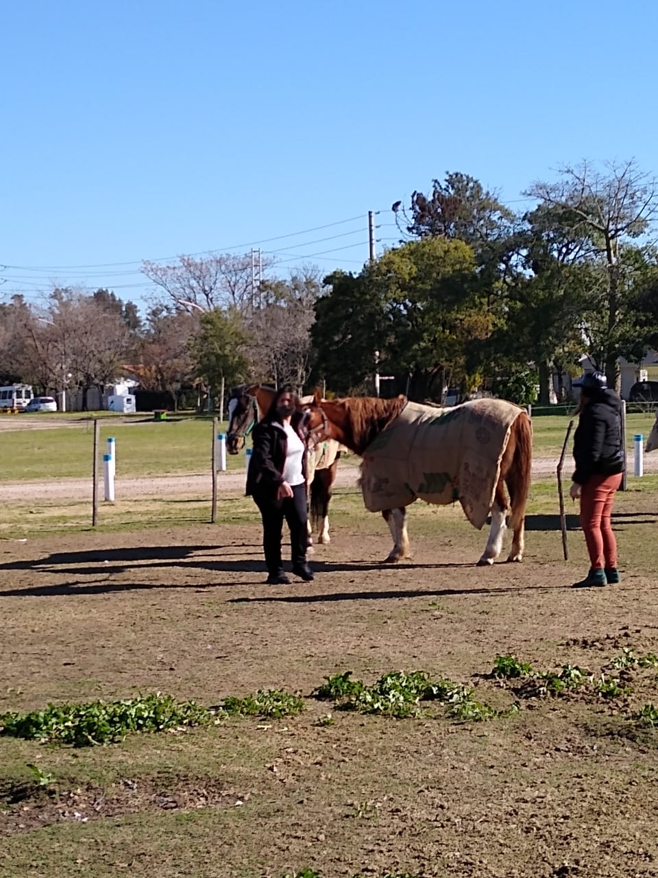 ABRIENDO CAMINOS EN EL ALMA