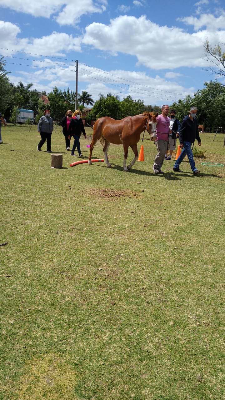 ABRIENDO CAMINOS EN EL ALMA