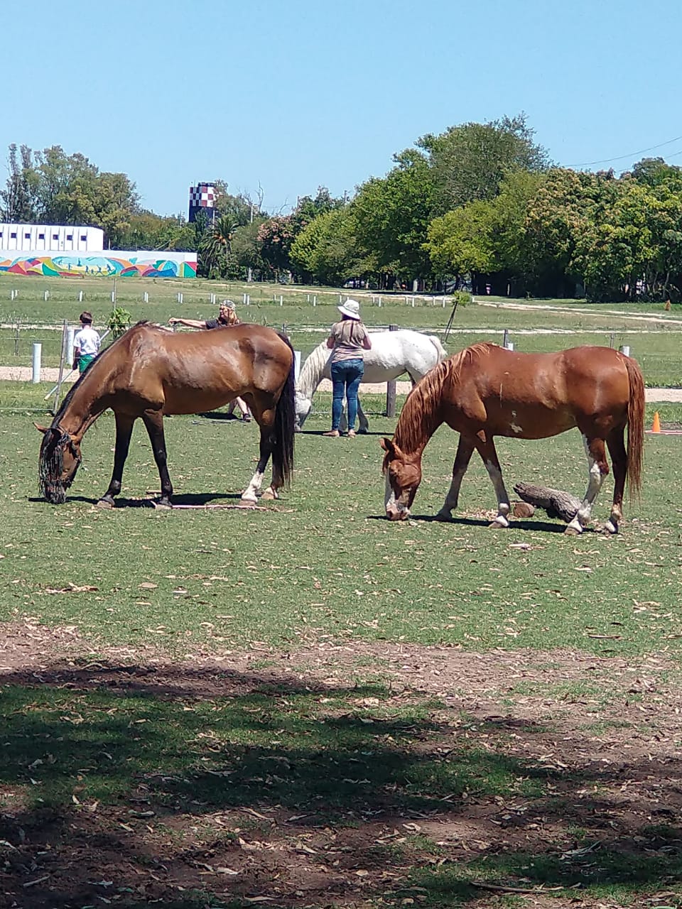 ABRIENDO CAMINOS EN EL ALMA