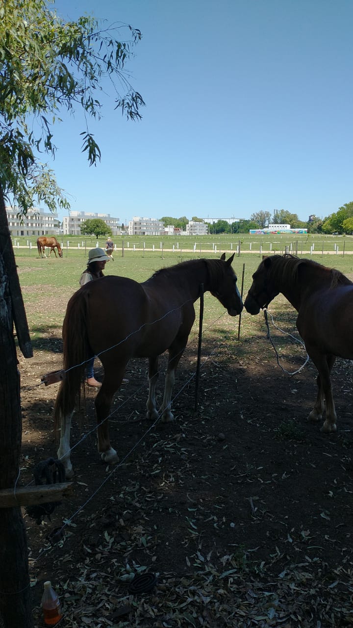 ABRIENDO CAMINOS EN EL ALMA