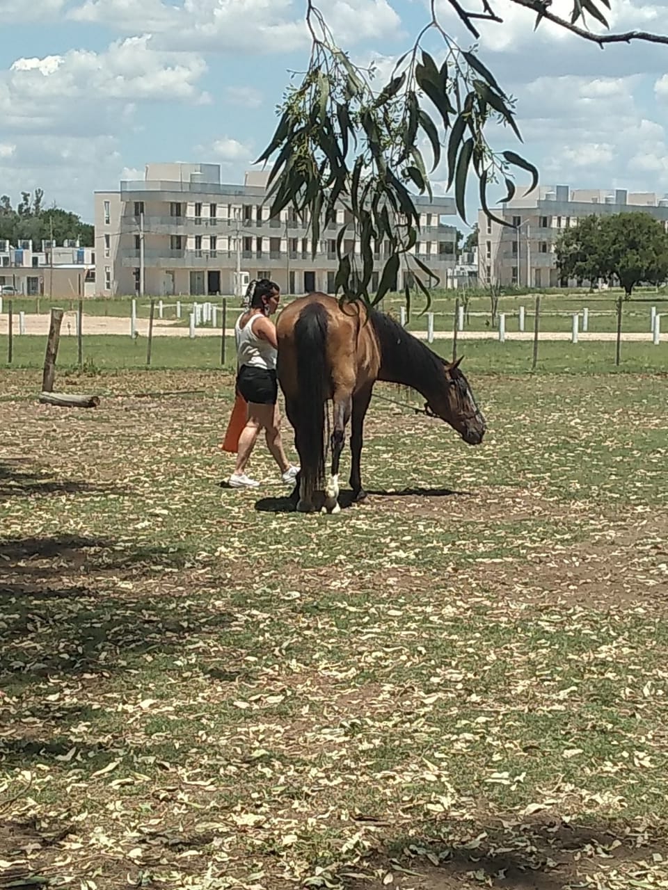 ABRIENDO CAMINOS EN EL ALMA