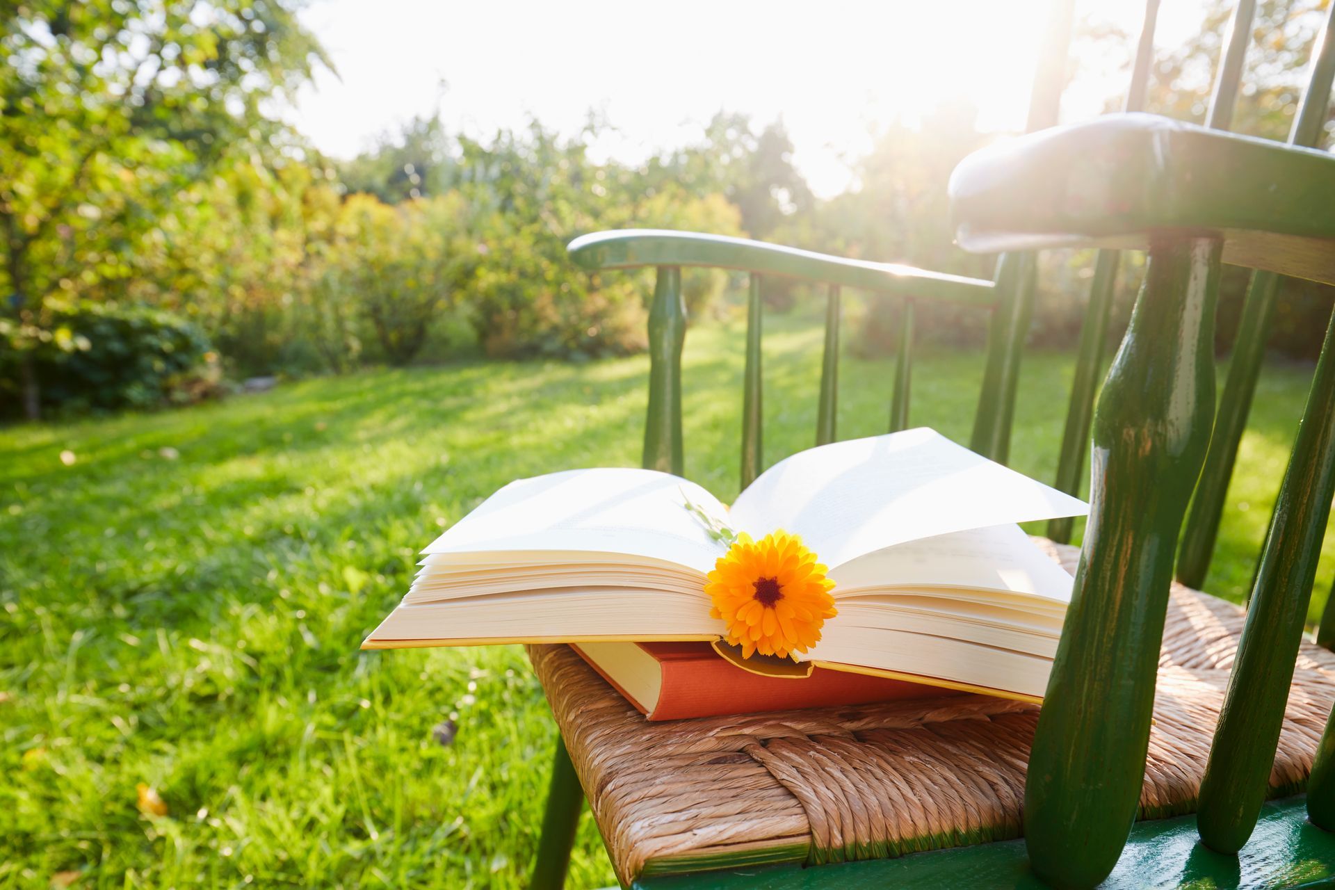 Un libro e un fiore sono appoggiati su una sedia nell'erba.