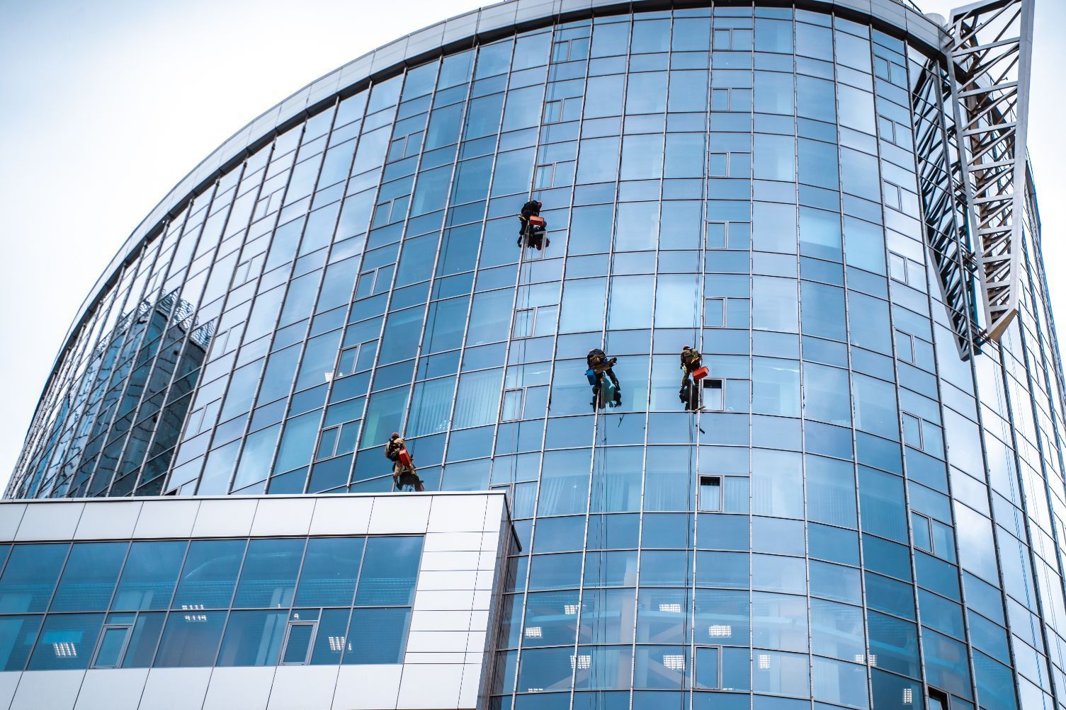 A group of people are cleaning the windows of a tall building.