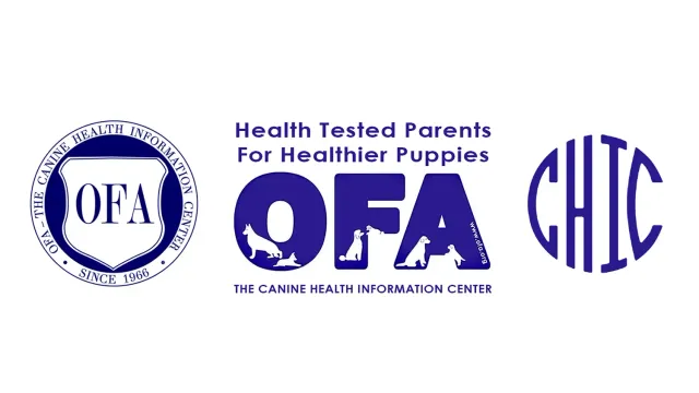 Health Screening