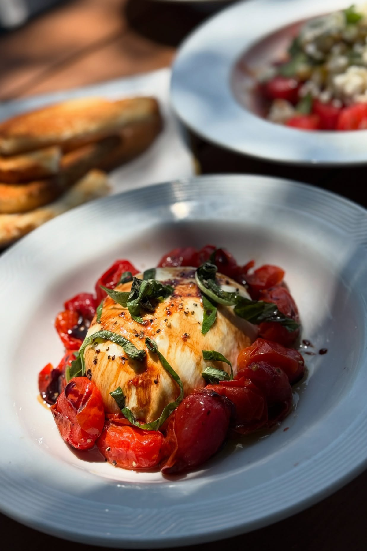 Raw and Refined Burrata with tomatoes dish