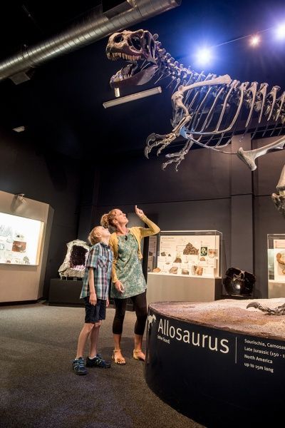 Woman and child look up at an Allosaurus skeleton in a museum.