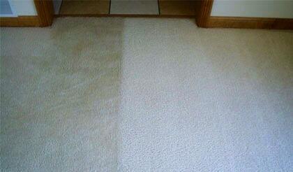 Carpet Cleaning, 2