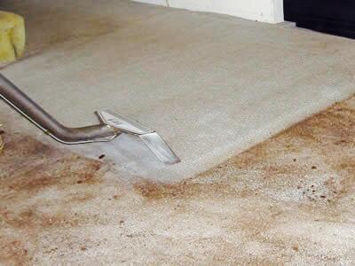 Carpet Cleaning, 1