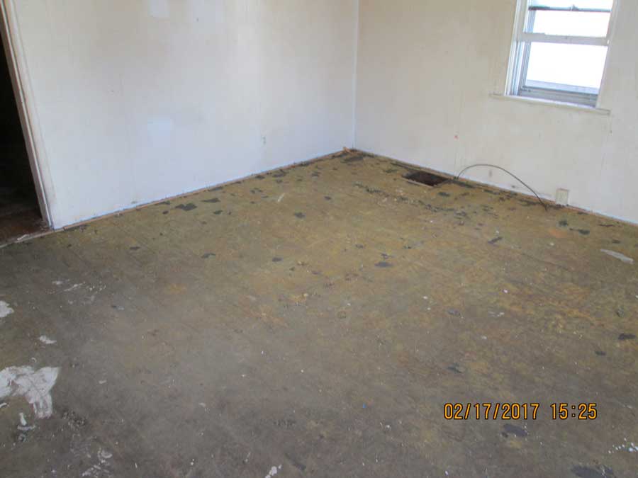 Cleaning Hoarders, After