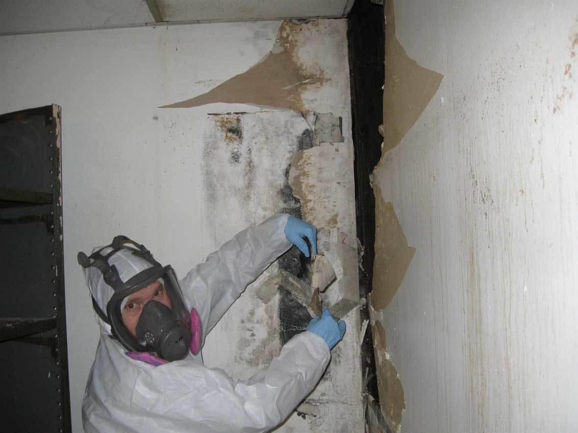 Mold Removal: The Start