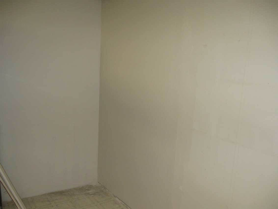 Mold Removal: The Finished Product