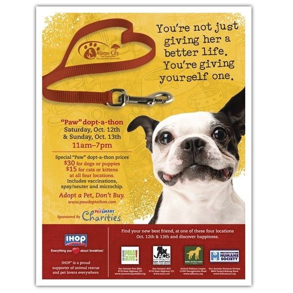 A poster with a dog on it that says you 're not just giving her a better life you 're giving yourself one