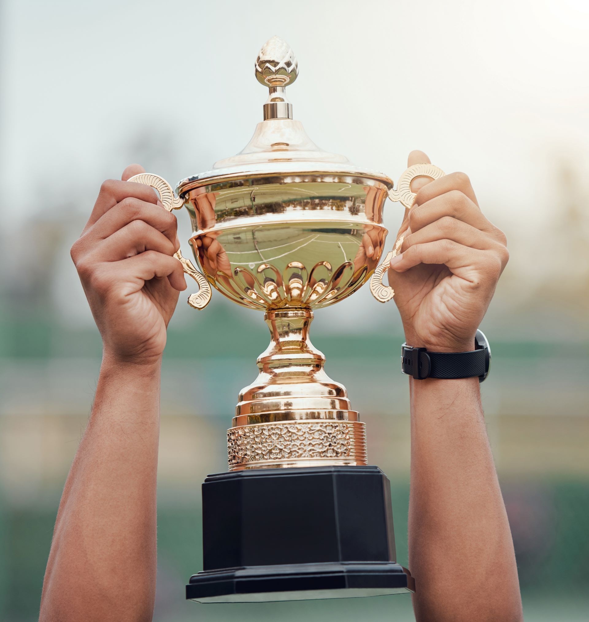 A person is holding a gold trophy in their hands.
