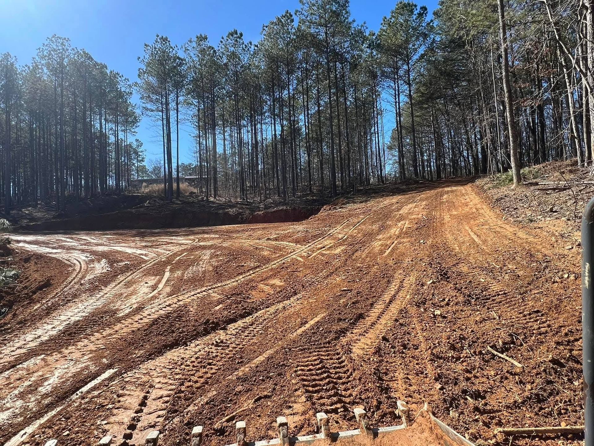 Freshly cleared reddish-brown dirt paths with heavy equipment tracks lead toward a dense forest under a clear blue sky.