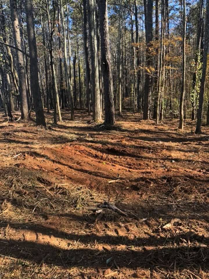 A forest floor with deep, muddy tire ruts scarring the reddish-brown soil amidst tall pine trees on a sunny day.