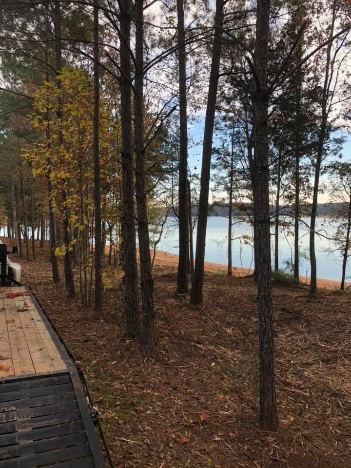 A view through pine trees towards a calm lake with a wooden ramp in the foreground.